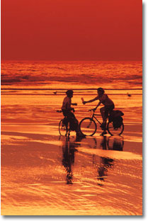 Florida Gulf Coast Bicycle Tours and Events